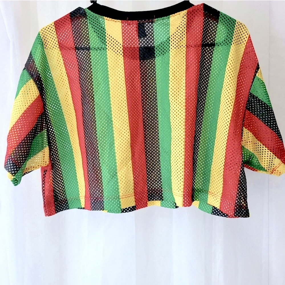 Vertically Striped Cropped Top - image 3